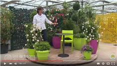 Comment fleurir vos petits espaces ?